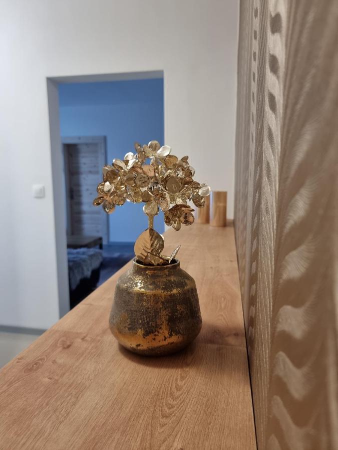 Bivio Apartment Dolna Banská Štiavnica Exteriör bild